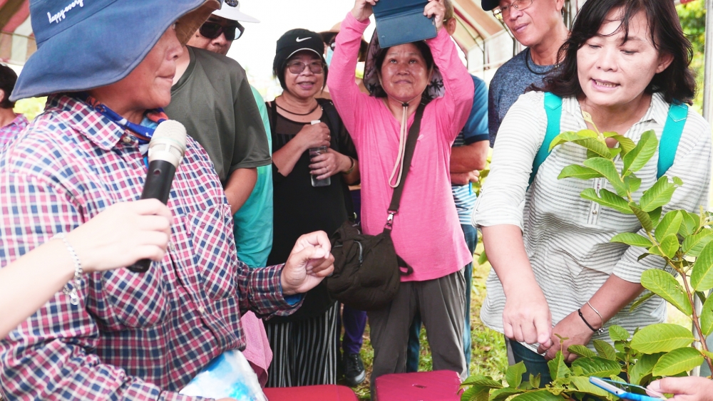 資深農民分享自己的芭樂套袋技巧，其他農友紛紛拍照筆記與提問。