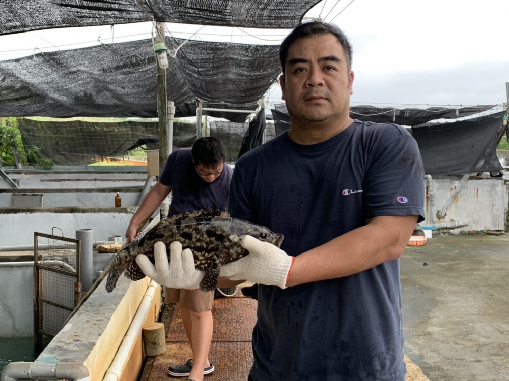 計畫團隊訪談場域內之石斑魚養殖業者，盤點養殖資源及所遇困難。