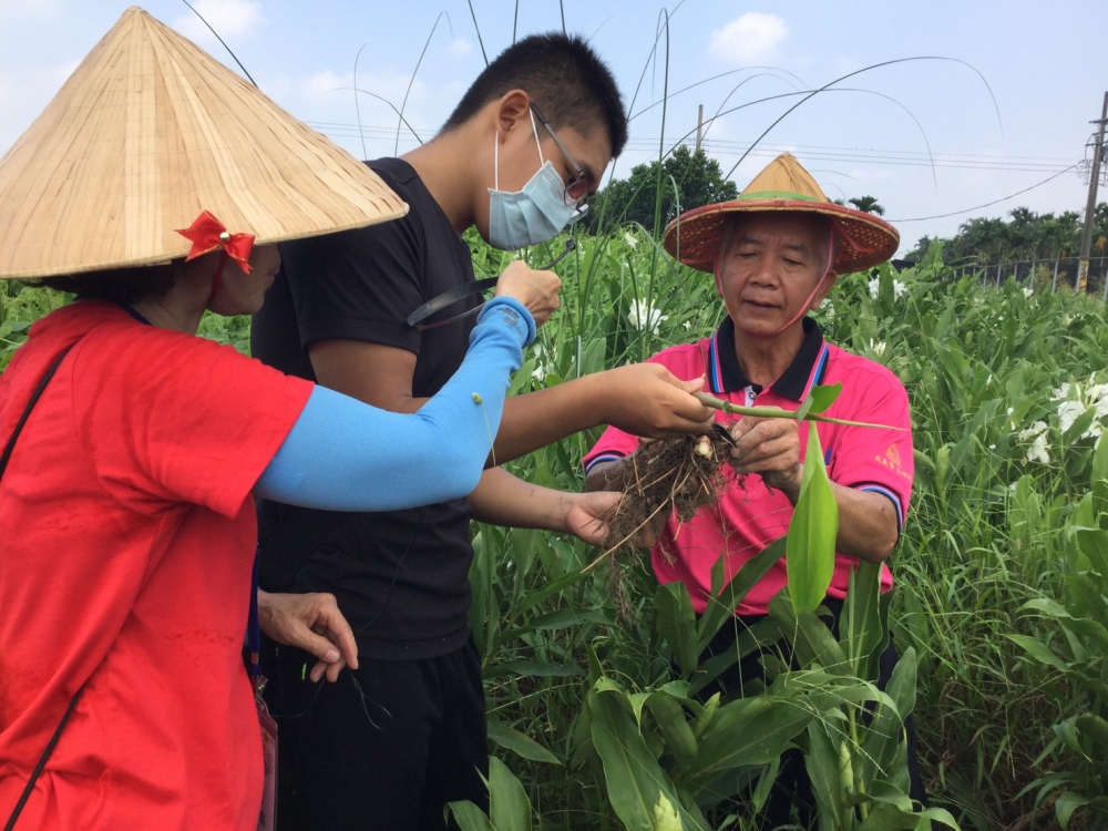 學生們來到鹽埔鄉一隅野薑花田，隨著社區導覽人員的解說，體會小農的生活日常。
