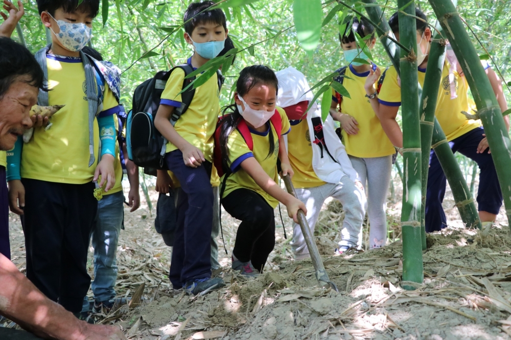 到臺南市龍崎嶇百竹園進行戶外教育
要見竹筍一面必須用勢如破竹的氣勢賣力地挖啊鏟啊