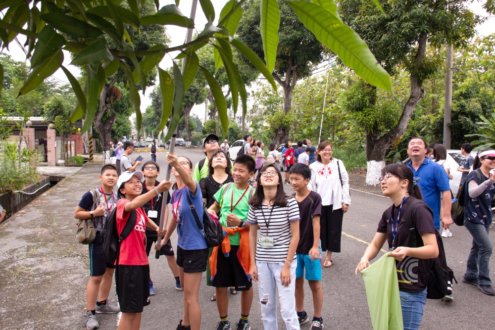圖６：與東榮國小及豐收社區舉辦「芒果文化節」，由村民示範、讓孩子體驗挵檨仔（打芒果）的樂趣。