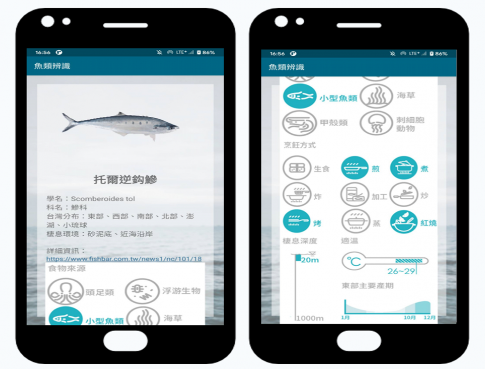 AI魚類辨識系統介面，讓友善海洋資源而推動的食魚教育更進階