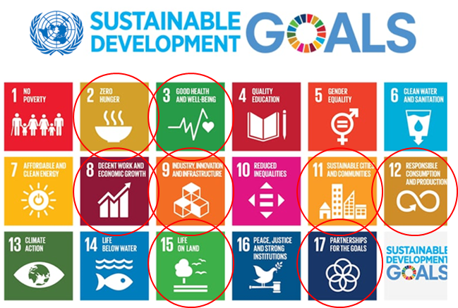 圖10 聯合國17項永續發展目標(SDGs)