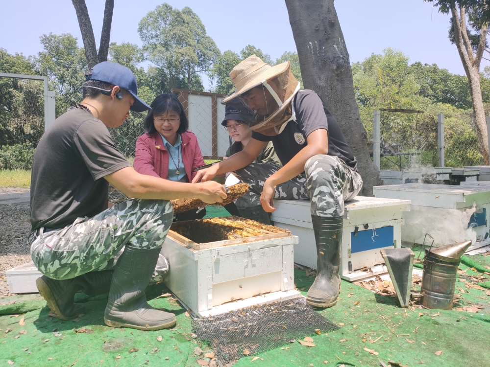 陳美惠教授指導學生養蜂技巧