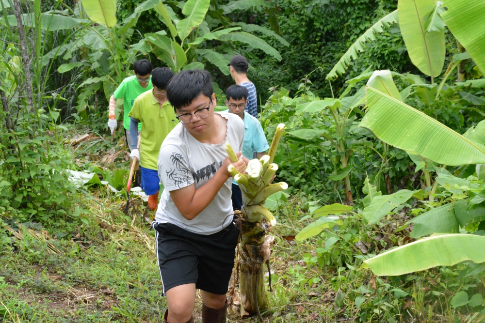 泰國社會企業野豬園合作推廣生態農業：學生透過場域觀察及學習以種樹、養豬取代一次性捐贈，建立村落及機構的循環經濟體制。